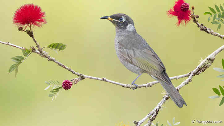 A Year With the Canon EOS R7: Is It the Best APS-C Mirrorless Camera Available?