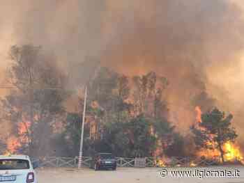 Incendi nel Sud Italia: fiamme anche in una pineta a Ugento (Lecce)