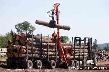 Canada Says It Is Disappointed by US Decision to Maintain Lumber Duties