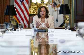 US Vice President Harris Condemns Attempted Takeover of Power in Niger