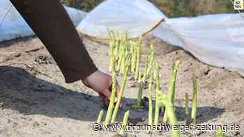 Spargel – Zwischen Tradition und Instagram