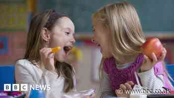 Wales' holiday free school meal axe faces legal challenge