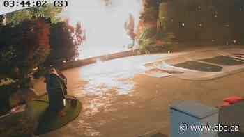Cigarette ignites fire in B.C. backyard 6 hours after it was put out