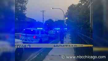 COPA: Chicago police officer shot in hand in Englewood was shot by fellow officer