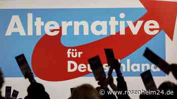 AfD-Bundesparteitag - Viele drängt es nach Brüssel