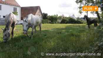 Holzheim verpachtet bestimmte Flächen zinsfrei