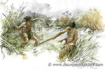 Deadly Stick Recovered from Germany Dates to 300,000 Years Ago