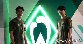 Zweifache Vertragsverlängerung