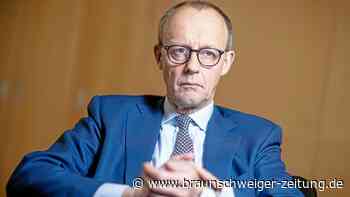 Sie wollen die AfD halbieren, Herr Merz? So könnte es gehen