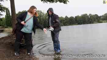 Gesundheitsamt Braunschweig: Vogelkot gefährdet Heidbergsee