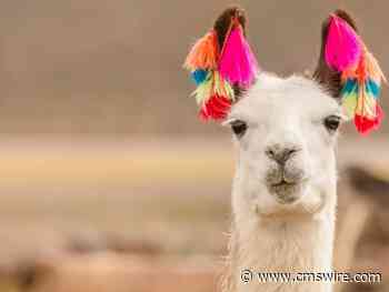 How Meta’s Llama 2 Shifts Marketing’s Relationship With AI