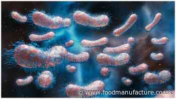 Hundreds of Brits hit with Salmonella