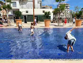 Les Allées de la Liberté à Cannes: c'est plus beau, mais aussi plus chaud