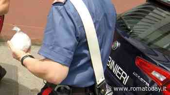 Incidente nel parco dopo fuga con l'auto a noleggio, nascondeva cocaina