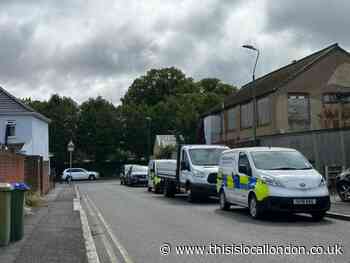 Belvedere Heron Hill: Cannabis uncovered