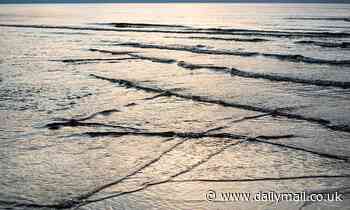 What are square waves and are they dangerous? The cross-patterned sea phenomenon that could spell disaster for swimmers