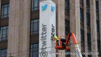 Twitter wird X: "Ein genialer Schachzug von Elon Musk"