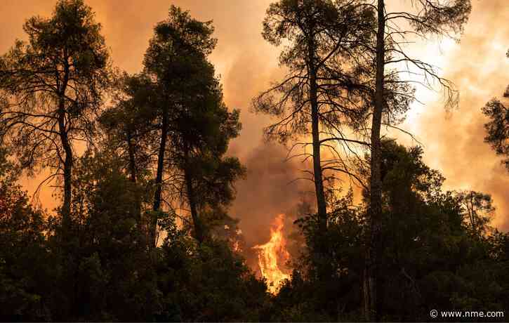 Clubbers warned as red alert issued in Ibiza and Balearic Islands due to wildfires