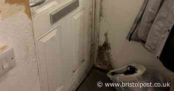 Disabled mum living in "mould-ridden" flat is pleading with her council to rehome her