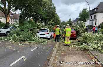 FW-GLA: Astgabel auf PKW. Eine verletzte Person.