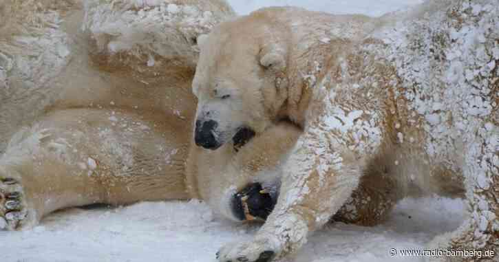 Freier Eintritt für kleine Künstle rim Nürnberger Tiergarten