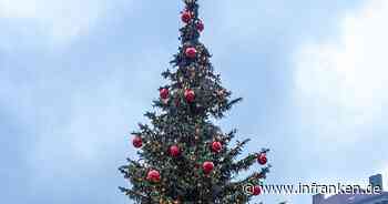 Coburg sucht Bäume für den Weihnachtsmarkt
