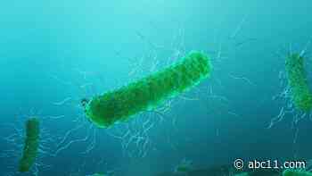 3 NC deaths connected to vibrio infections from open cuts near brackish or consuming raw seafood