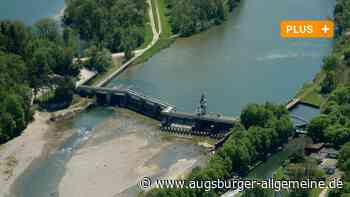 Leises Sterben: Fische in Augsburger Gewässern leiden unter dem Klimawandel