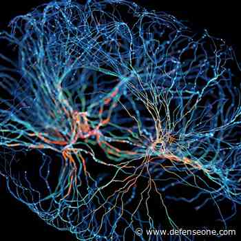 Can AI diagnose brain trauma? The military wants to know