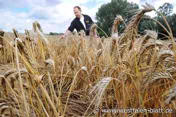 Zwischen Trockenheit und Starkregen: Was die Wetter-Extreme für Bielefelds Landwirte bedeuten