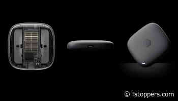 Small, Mighty, and Safe: We Review the Synology 1 TB BeeDrive