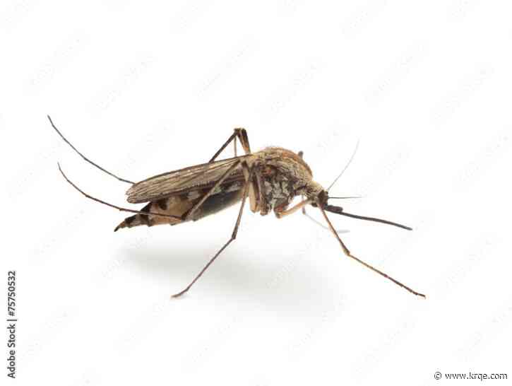 New Mexico sees first human West Nile virus infections of 2023
