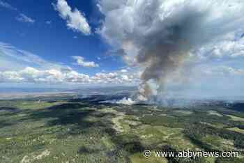 UPDATE: 18 more properties to evacuate immediate due to wildfire outside Kamloops