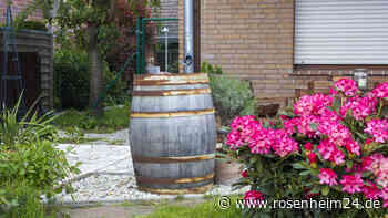 Regenwasser mit dem „Regendieb“ auffangen – wie es funktioniert
