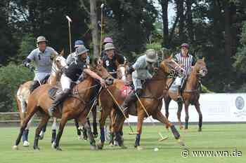 Lässigkeit und Rasanz beim Polopicknick in Münster