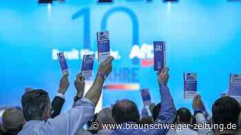 AfD-Bundesparteitag: Parteimitglieder zufrieden mit Umfragewerten
