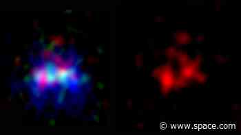 Extremely distant galaxy reveals stories of stars from their cradles to their graves