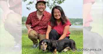 N.B. couple embarks on ‘Spencer Quest,’ walks their dog on every street in Quispamsis