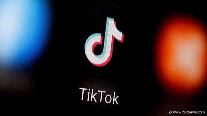 TikTok won't launch cross-border e-commerce services in Indonesia amid concerns