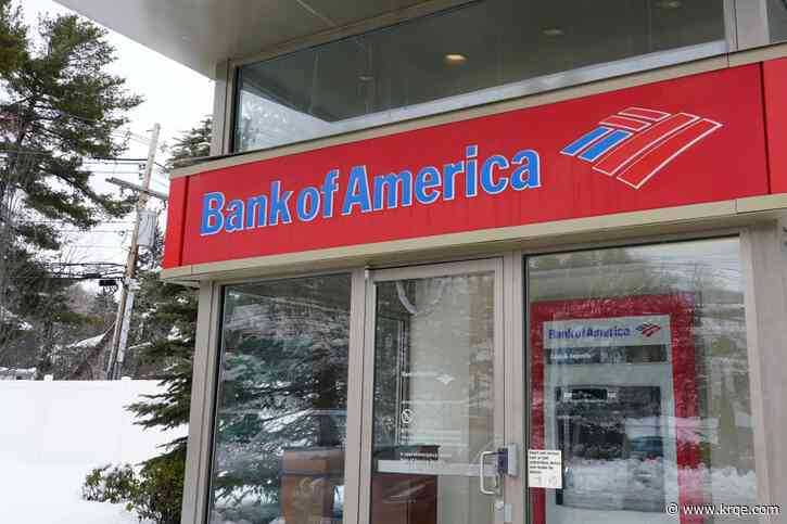 Bank of America Student Leader Internship