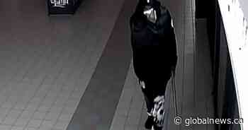 Suspect sought following break-and-enter in Peace River Alta.