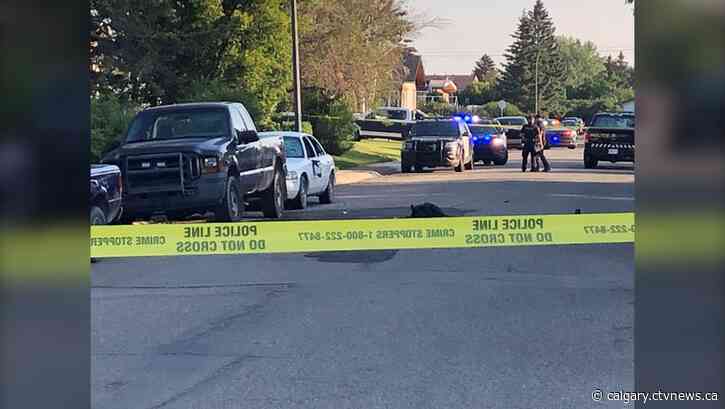 Witnesses, video sought as Alberta Serious Incident Response Team investigates shooting by police in southeast Calgary