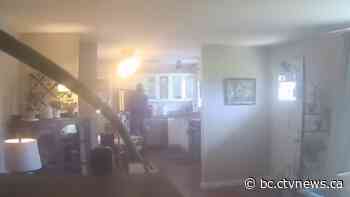 $20K fine for real estate agent caught drinking client's milk from carton in Kamloops, B.C.