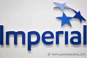 Geese in ‘good condition’ after landing on contaminated lagoon: Imperial CEO