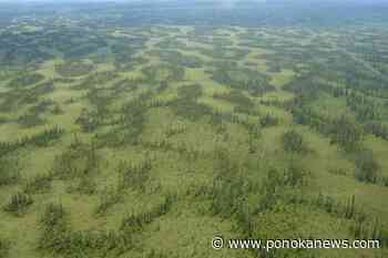 Suncor tells regulator reconsidering approvals would arm industry opponents