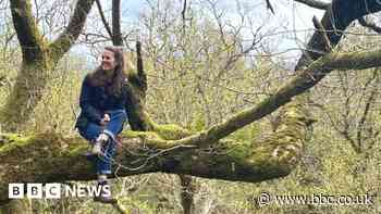 Environment: Trainee foresters almost guaranteed job - students