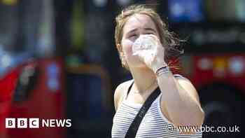 Climate change: Last year's UK heatwave 'a sign of things to come'