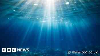 Will the Gulf Stream really collapse by 2025?