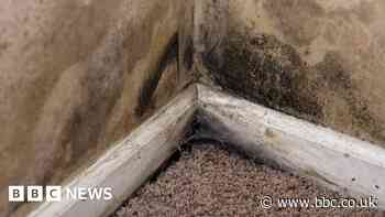 East Riding Council pledges 'empathy' when dealing with mould complaints