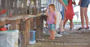 DuPage County Fair closes early, will be back in action Saturday